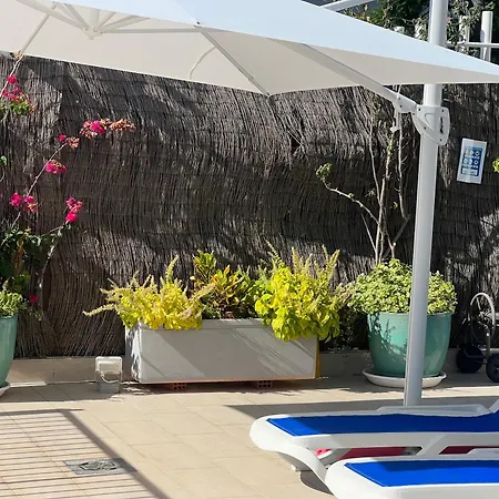 Apartment Ancla Real Loft *