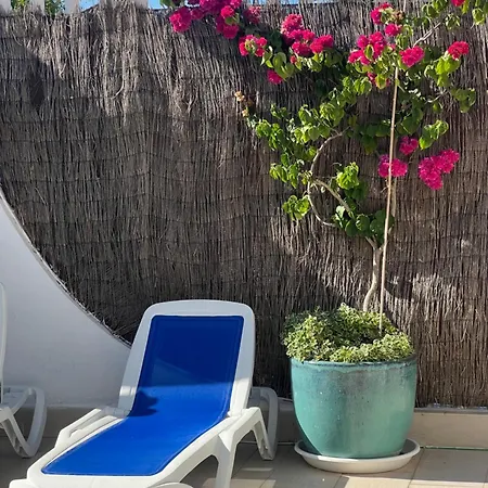 Apartment Ancla Real Loft *