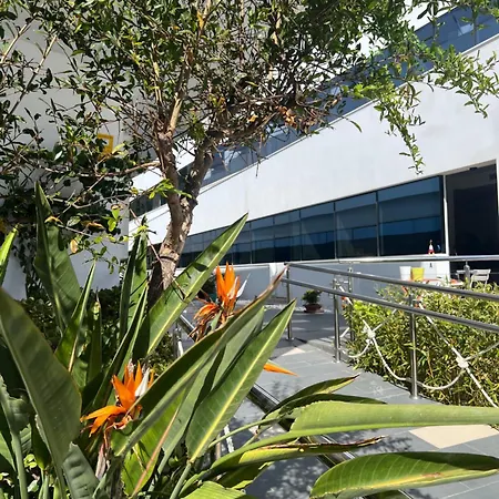 Apartment Ancla Real Loft *
