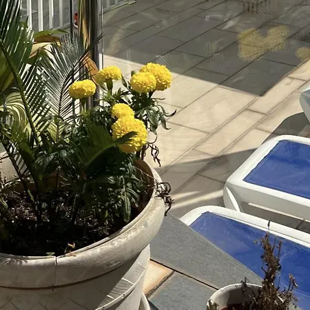 Apartamento Ancla Real Loft